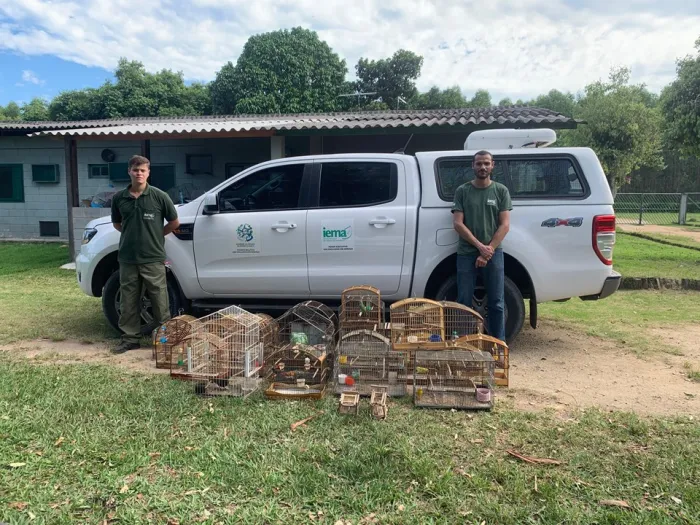 Iema combate cativeiros ilegais de fauna em Aracruz