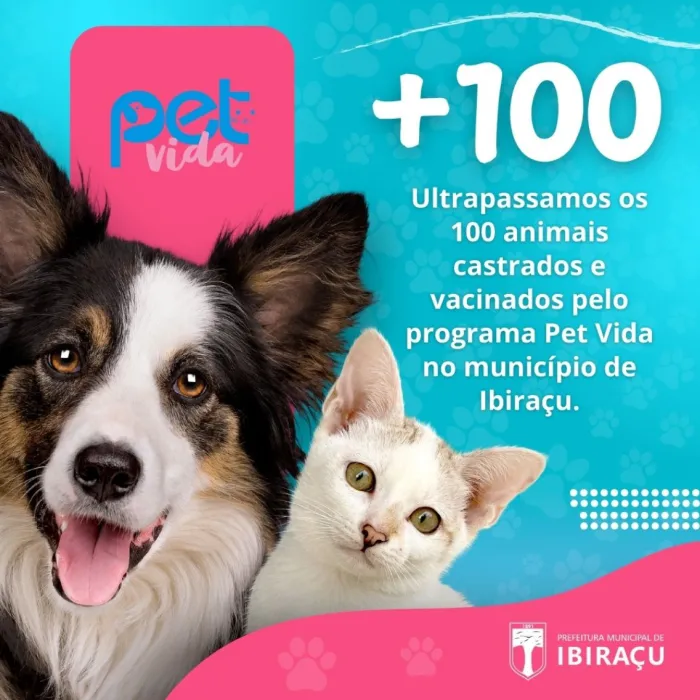 Ibiraçu avança na proteção animal com o programa Pet Vida