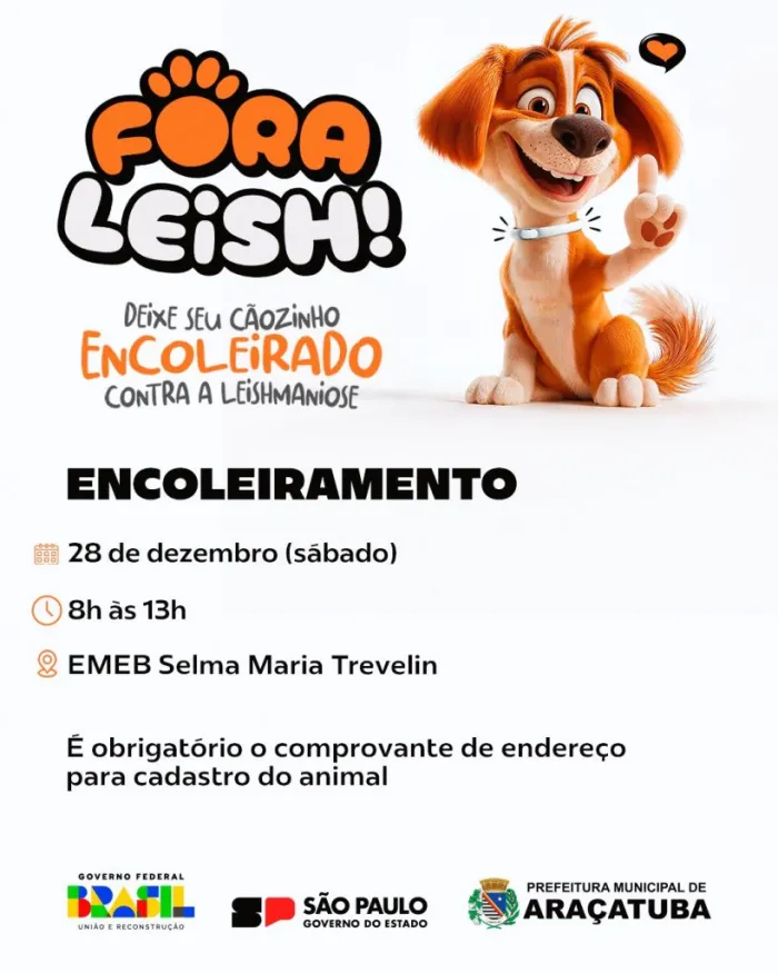 Foto: Reprodução/Prefeitura de Araçatuba - SP