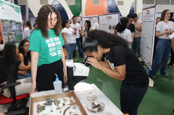 Maranhão bate recordes em investimentos voltados para a ciência, tecnologia e inovação