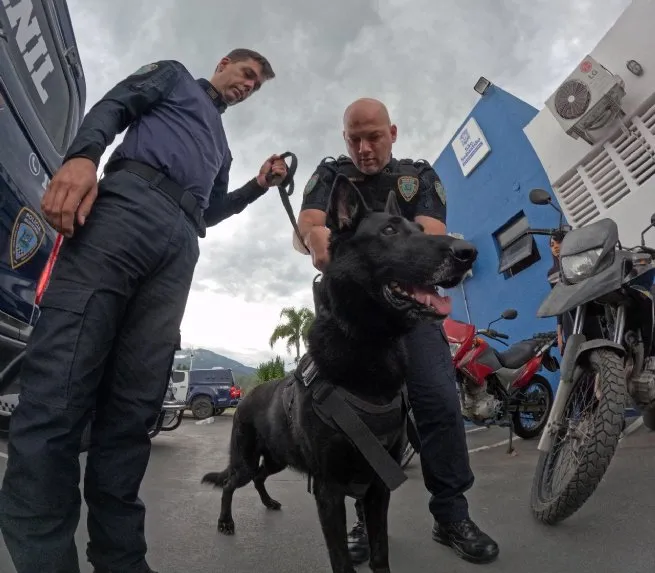 Foto: Reprodução/Prefeitura de São Sebastião - SP