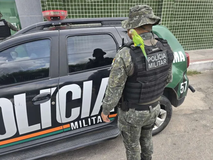PMCE resgata periquito-da-caatinga lesionado em rodovia no município de Sobral