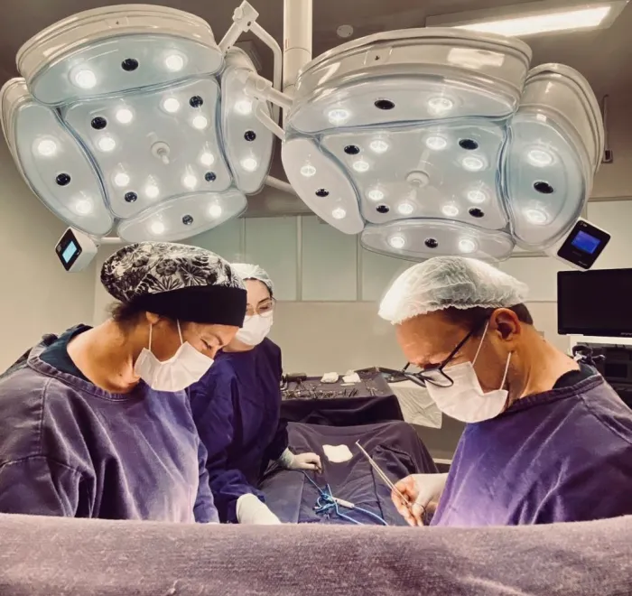 Hospital Dr. José Athanázio, em Campos Novos, realiza 3.414 cirurgias eletivas