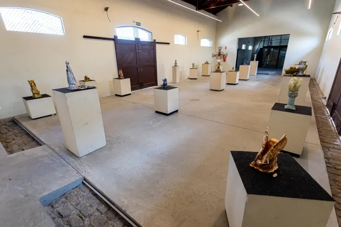 Foto: Reprodução/Prefeitura de Caruaru - PE