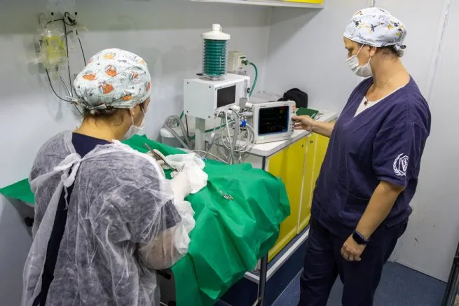 Foto: Reprodução/Prefeitura de São Sebastião - SP