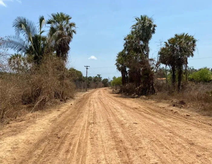 Idepi conclui recuperação de estradas vicinais em Miguel Alves 