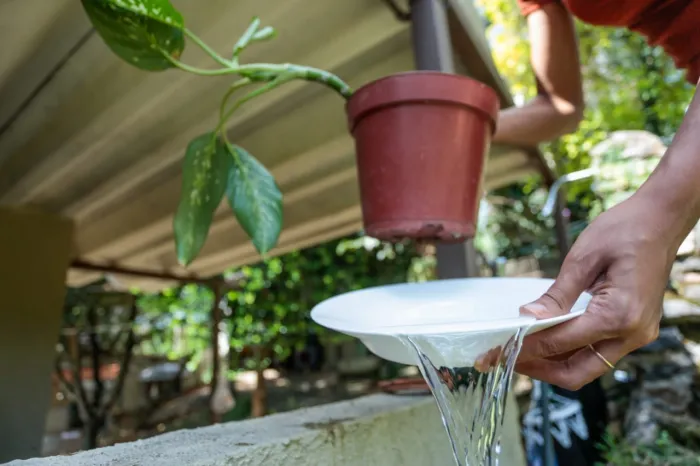 Limpeza de quintais é fundamental para evitar casos de dengue, zika e chikungunya (Foto: SES)
