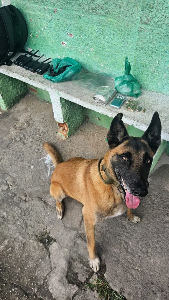 Foto: Reprodução/Polícia Militar - ES