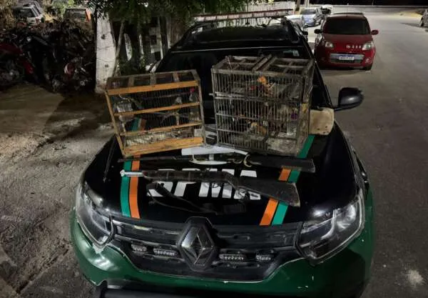 PMCE apreende armas de fogo e aves silvestres em Ipueiras