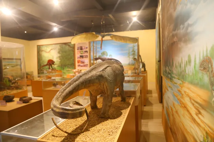 Museus e casas de cultura são opções de lazer nas férias