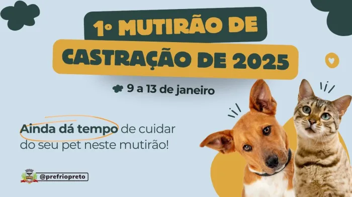 Bem-estar Animal realiza primeiro mutirão de castração de 2025