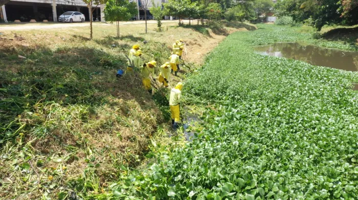 Foto: Reprodução/Prefeitura de Caruaru - PE