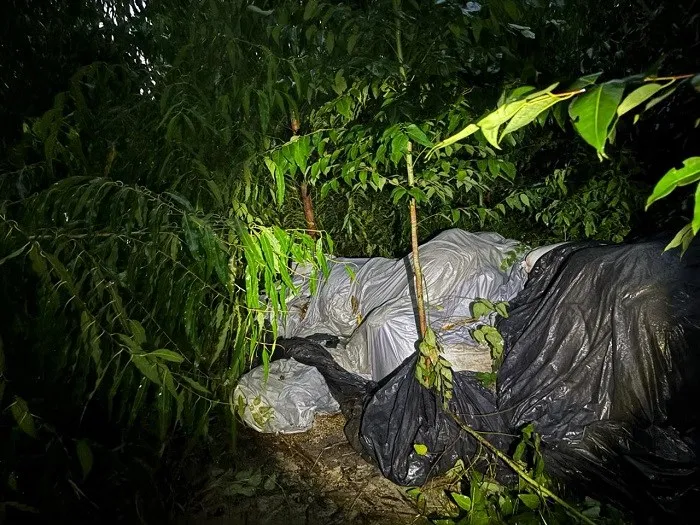 Militares do 2º BPM prende quadrilha envolvida em roubo em área rural de Boa Esperança