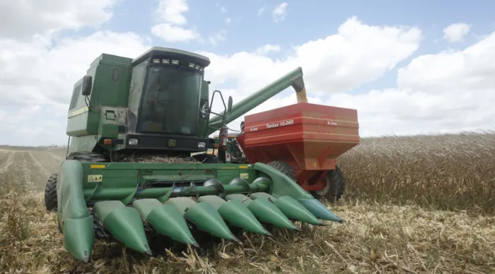 Sergipe apresenta uma uma produção média de 5.107 kg/ha / Foto: Vieira Neto