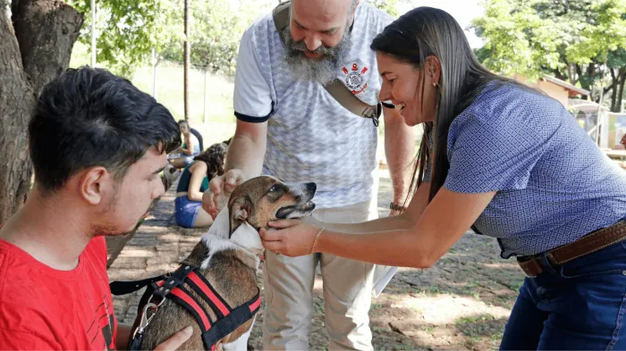 Primeiro Mutirão de Castração de 2025 atende cães no fim de semana