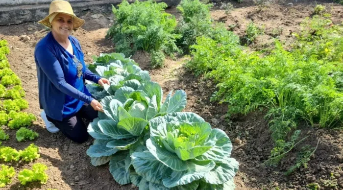 Emdagro transforma vidas com a instalação de 159 hortas em 2024 // Fotos: Ascom/ Seagri