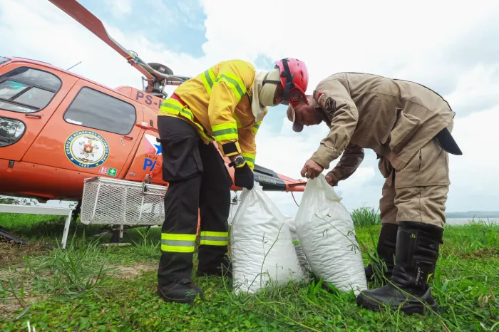 Governo do Estado realiza operação inédita para recuperar áreas afetadas por incêndios florestais no Pará