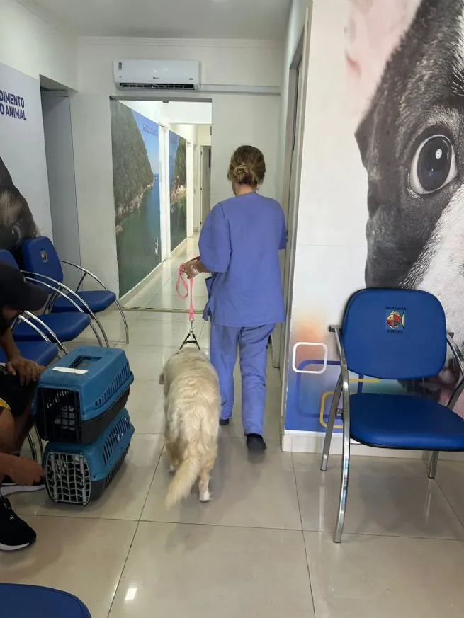 Foto: Reprodução/Prefeitura de São Sebastião - SP