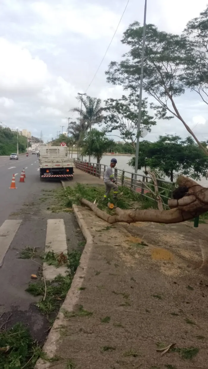 Mutirão de limpeza remove quatro toneladas de vegetação