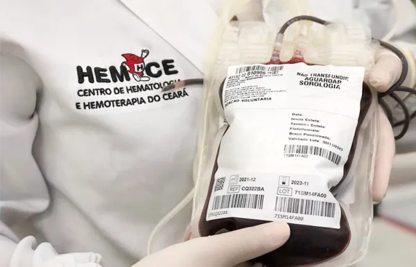 Marco histórico: Hemoce recebe 110 mil doações em 2024; número é o maior nos últimos 30 anos