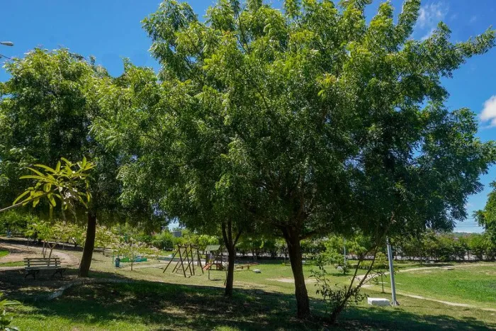 Foto: Reprodução/Prefeitura de Caruaru - PE