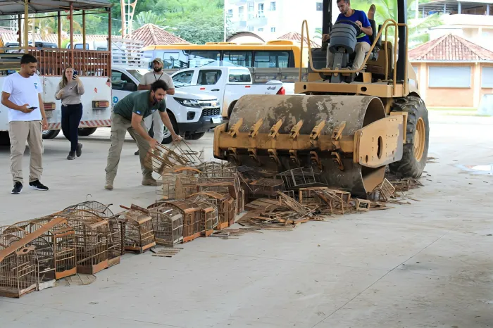 Gaiolas apreendidas em ações de fiscalização ambiental do Iema são destruídas