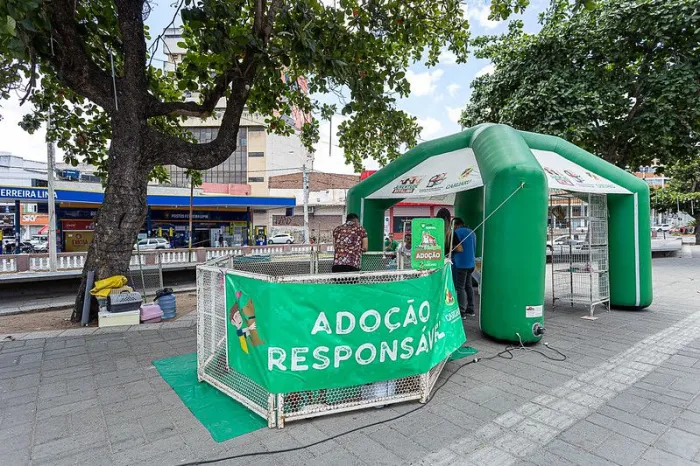 Foto: Reprodução/Prefeitura de Caruaru - PE