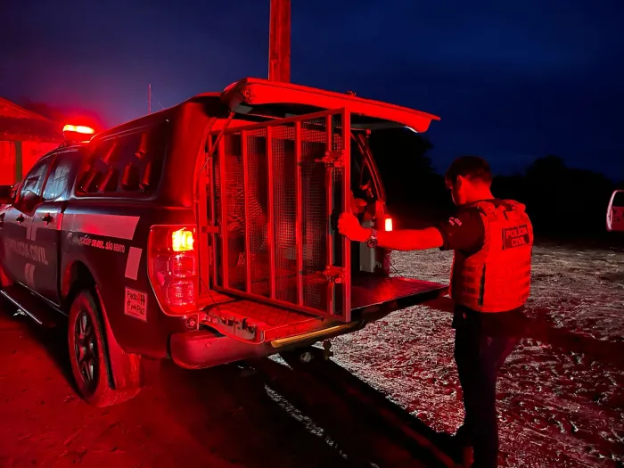 Polícia Civil apreende arsenal e prende três pessoas por posse ilegal de armas em São Bento