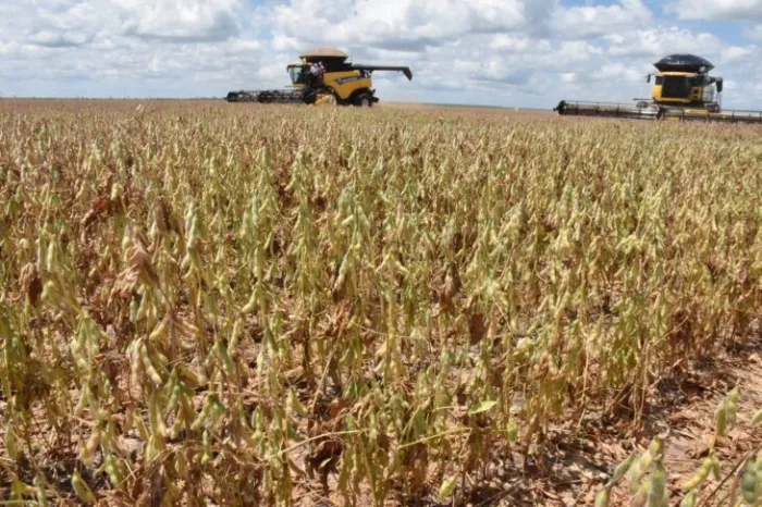 Produção de grãos no Piauí em 2025 deve atingir recorde histórico com suporte de infraestrutura viária no cerrado