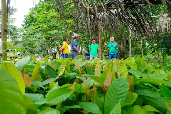 Crédito: Divulgação