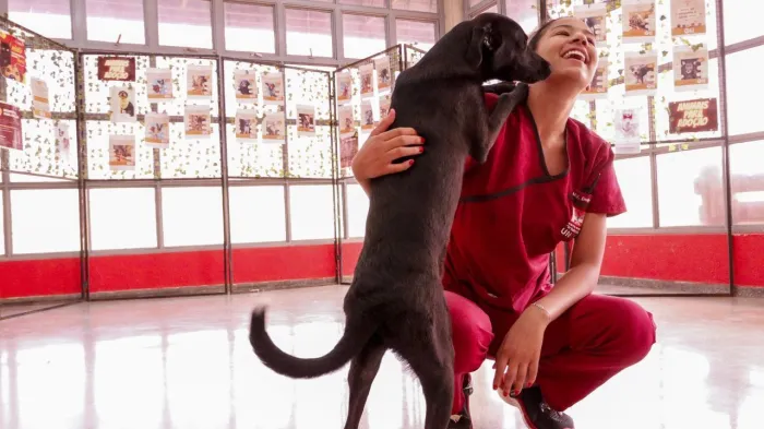 Bem-estar Animal faz campanha de adoção de 2025