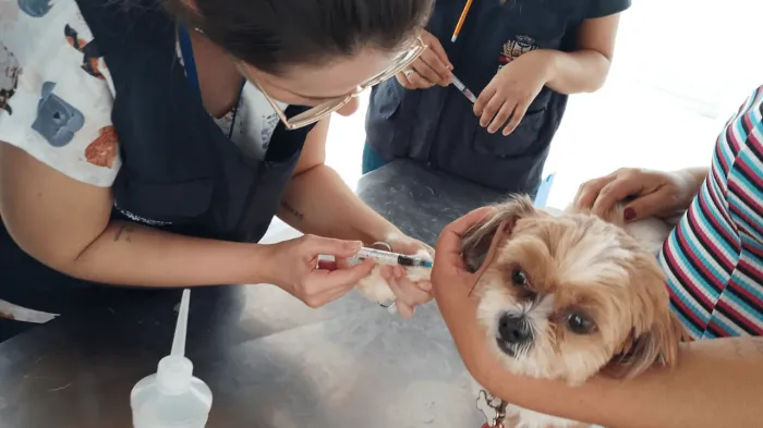 Zoonoses leva vacinação antirrábica à Vila Toninho