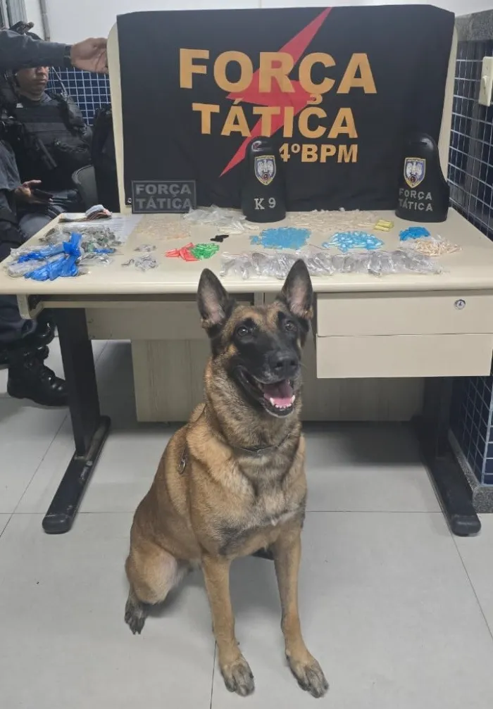 Foto: Reprodução/Polícia Militar - ES