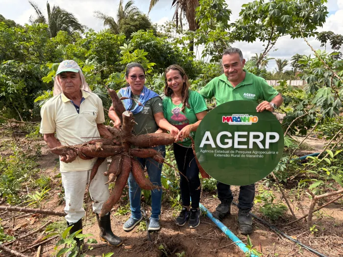 Agerp acompanha colheita de macaxeira e incentiva agricultura familiar em São José de Ribamar
