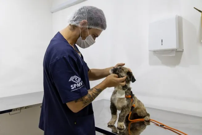 Foto: Reprodução/Prefeitura de São Sebastião - SP