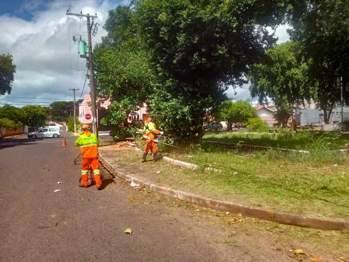 Araçatuba notifica proprietários para limpeza de terrenos urbanos