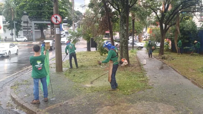 Mutirão recolhe 69 toneladas de resíduos no fim de semana