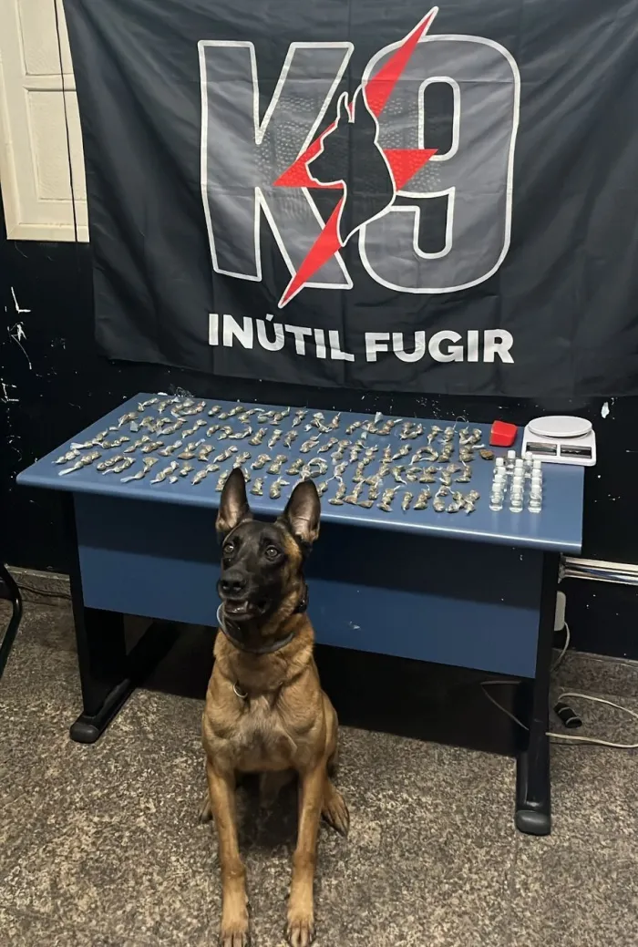 PM apreende drogas em Aracruz