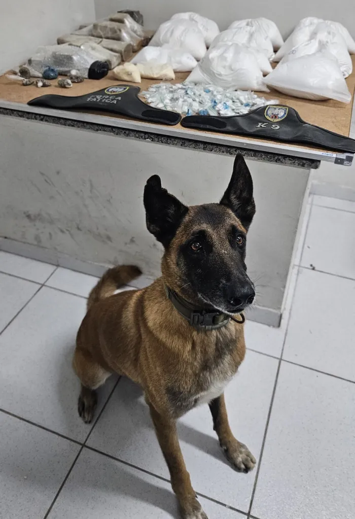 Força Tática apreende entorpecentes no Bairro da Penha