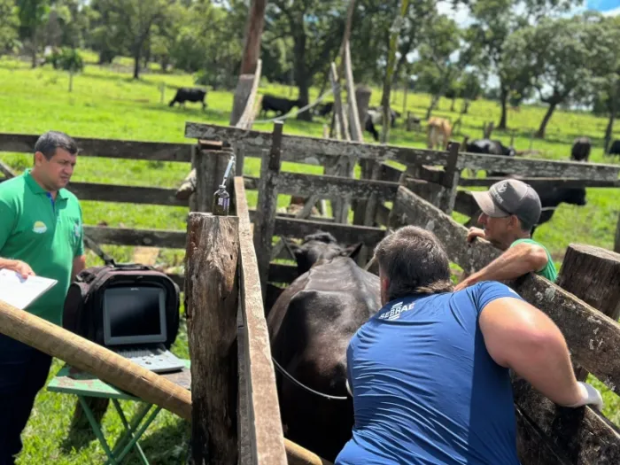 Avanços na Pecuária Leiteira: Costa Rica realiza terceira rodada de...