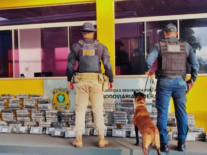 Ação conjunta entre PM e PRF apreendeu mais de 200 Kg de Cocaína