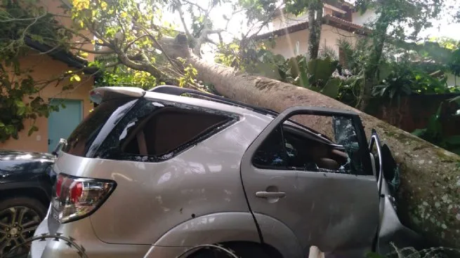 Foto: Reprodução/Prefeitura de São Sebastião - SP