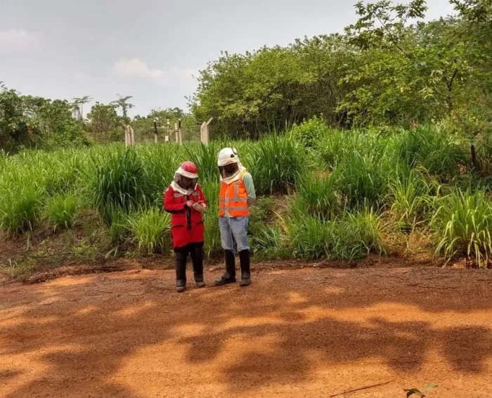 FCCM: Grupo de Arqueologia realiza pesquisas arqueológicas em Canãa dos Carajás