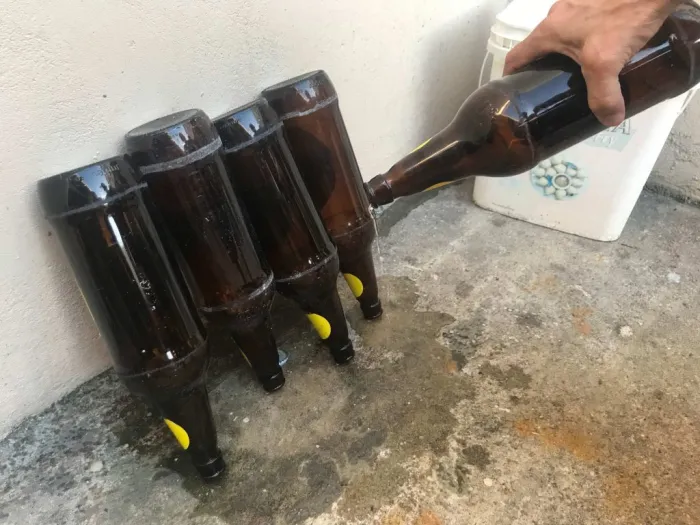 Amazonas divulga informe epidemiológico de arboviroses no Amazonas