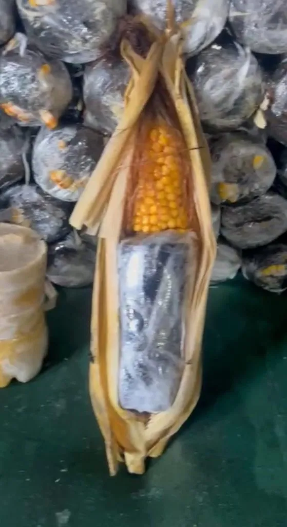 Foto: Reprodução/Agência Amazonas