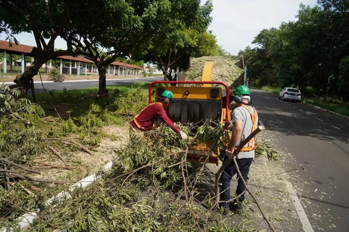 Prefeitura realiza poda preventiva na Dois de Dezembro