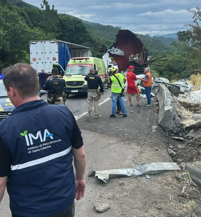 IMA atua para minimizar impactos no meio ambiente após acidente com produto tóxico na BR-101