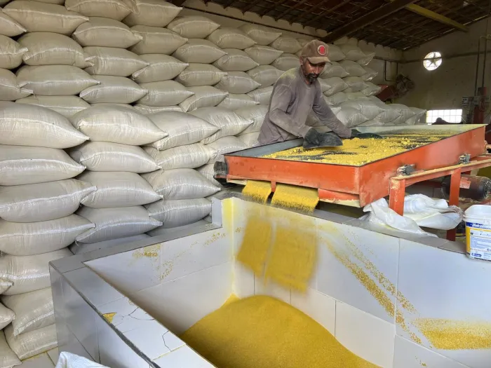 Impulsiona Ceará lança painel interativo com dados sobre Arranjos Produtivos Locais cearenses