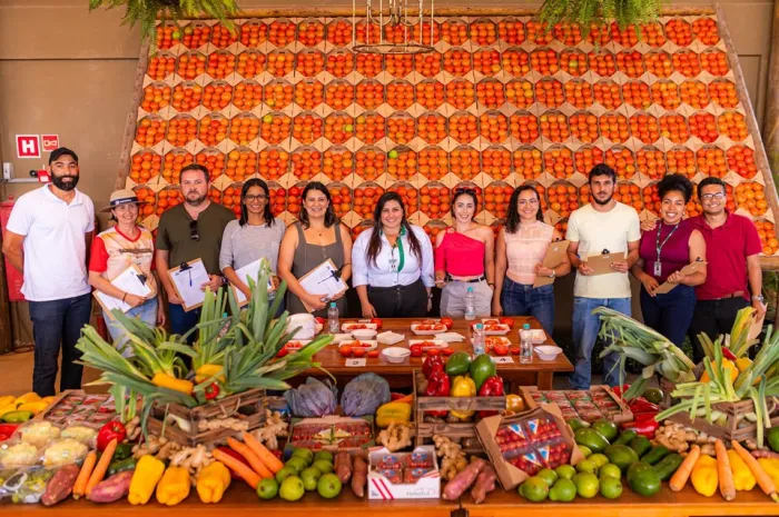 Incaper apoia concurso que incentiva produção de tomates de qualidade em Venda Nova do Imigrante