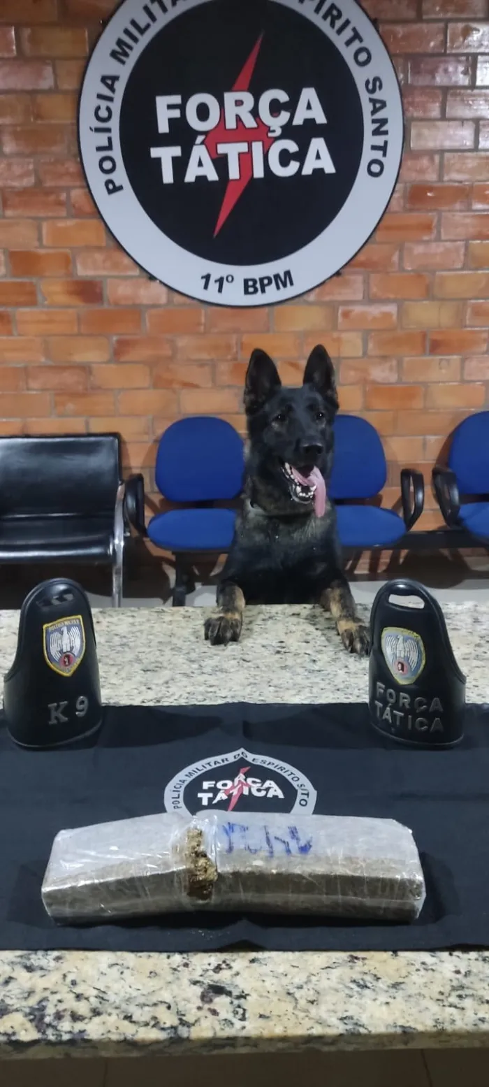 Força Tática e K9 do 11º Batalhão Apreendem 1,4 Kg de Maconha em Barra de São Francisco